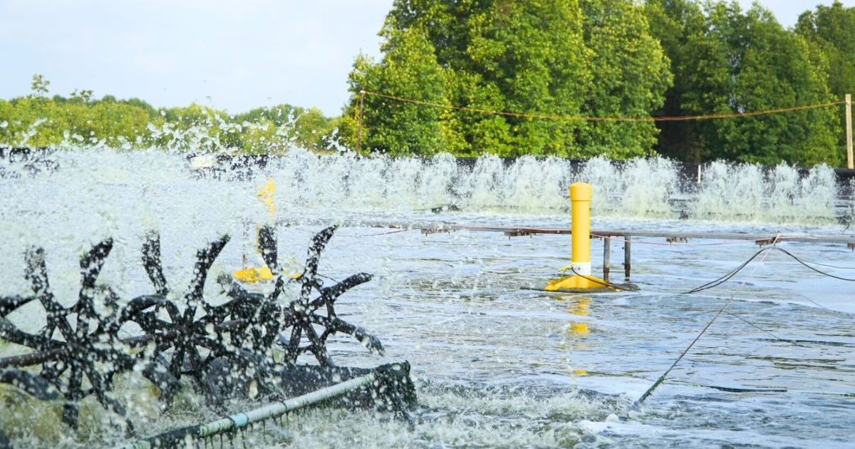 Thú ý thuỷ sản có vai trò quan trọng như thế nào?