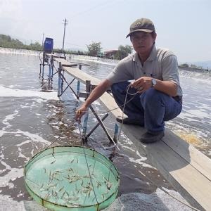 Lê Quang